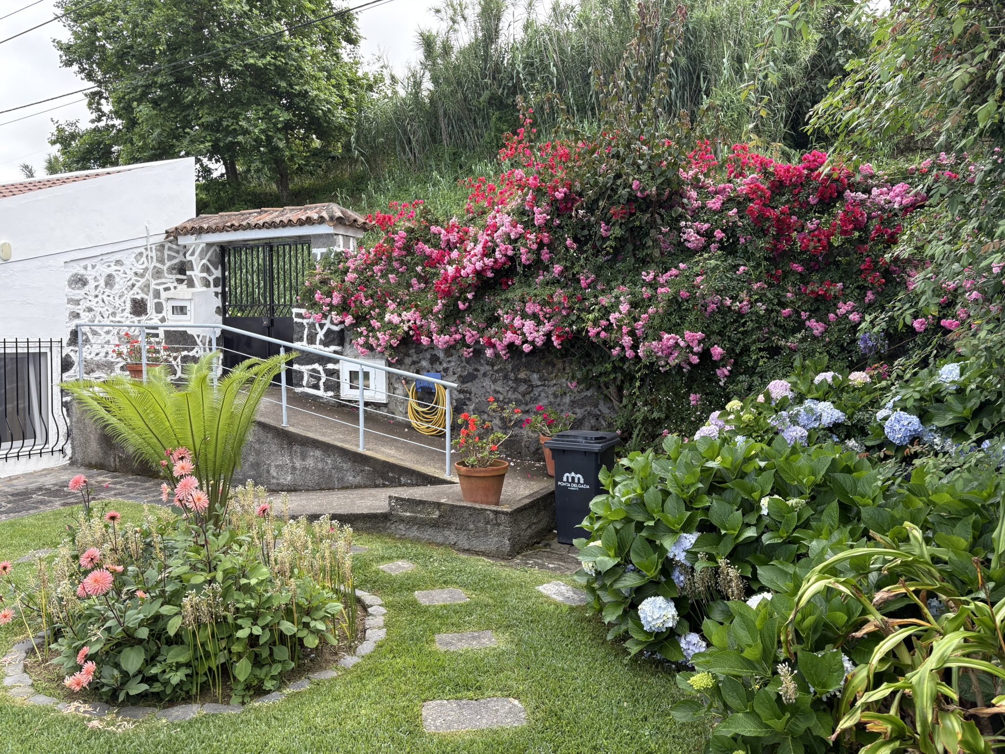 
											CASA ENCANTO