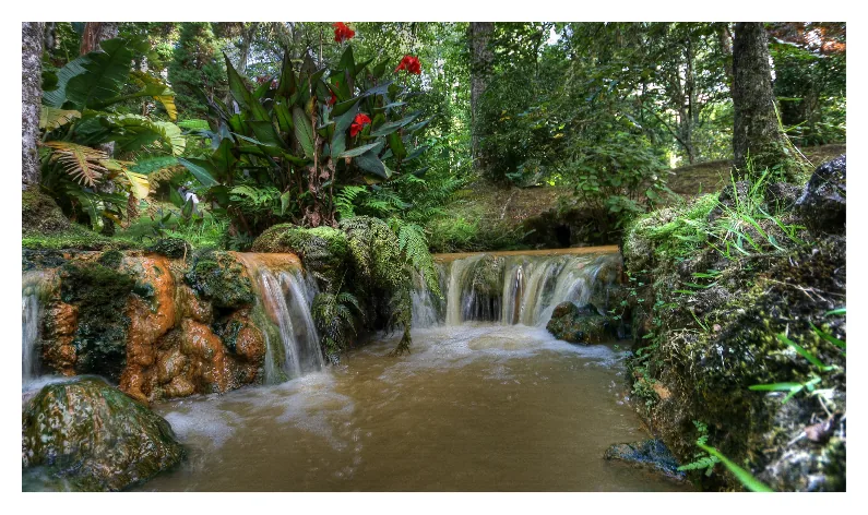 Terra Nostra Park, near Quinta do Sol Poente (Feteiras, São Miguel)